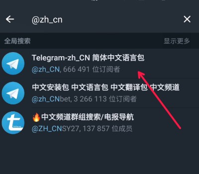 telegeram免验证码，telegram两步验证密码忘了怎么办