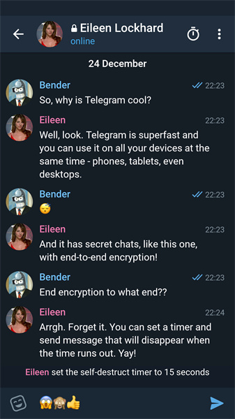 telegeram电脑官网，telegraph电脑版下载