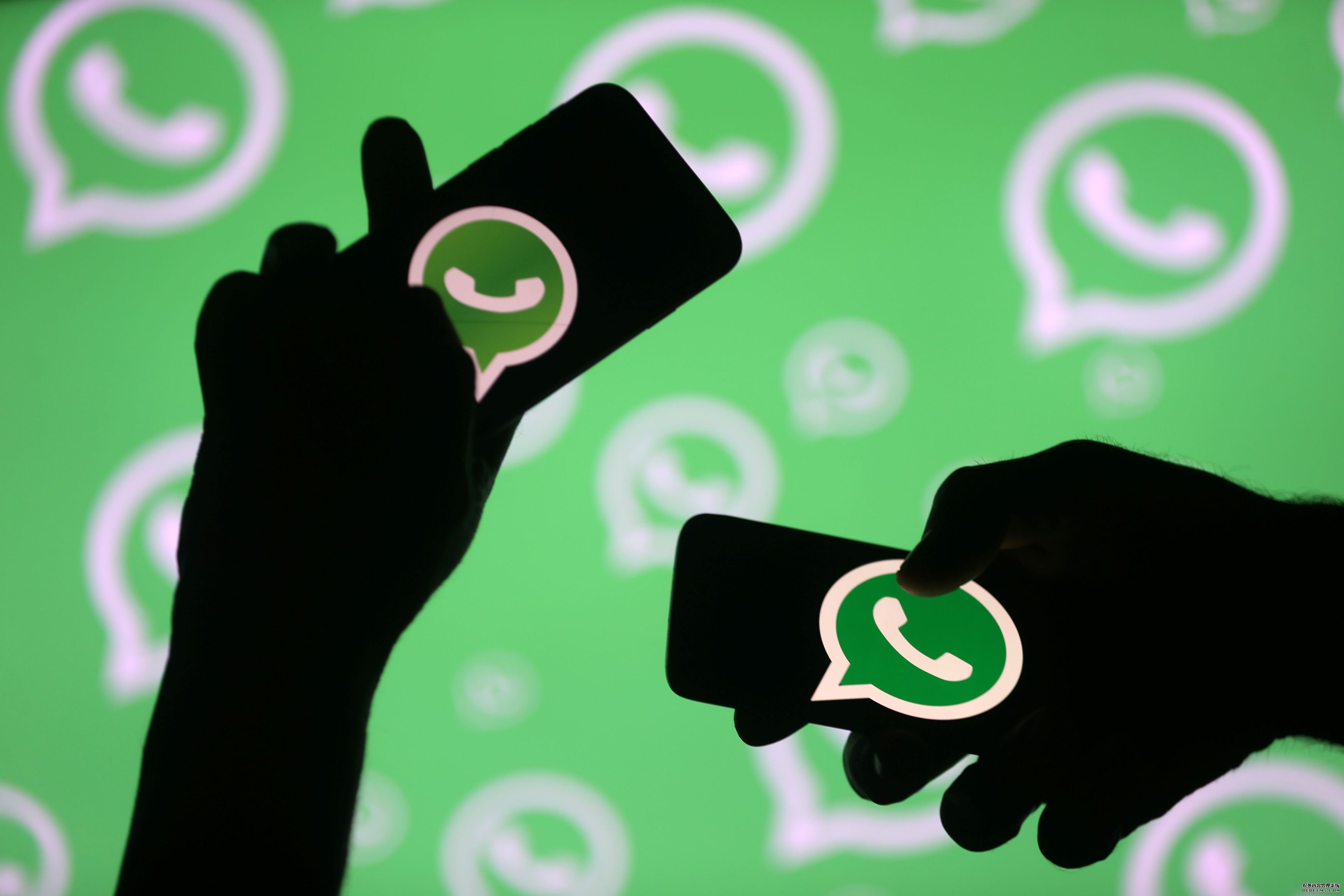 whatsapp官网网页版，whatsapp web网页版登陆