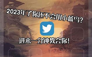 小蓝鸟梯子使用教程的简单介绍