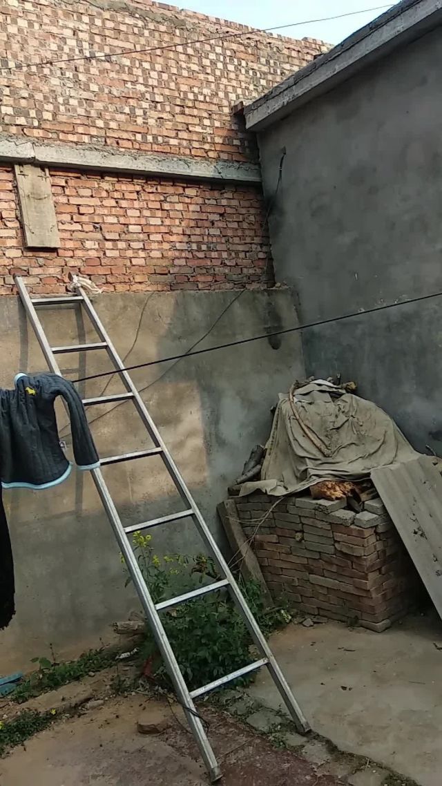 借梯子的寓意讲了一个什么道理，借梯子的寓意讲了一个什么道理呢