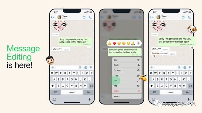 关于whatsapp怎么添加好友聊天的信息