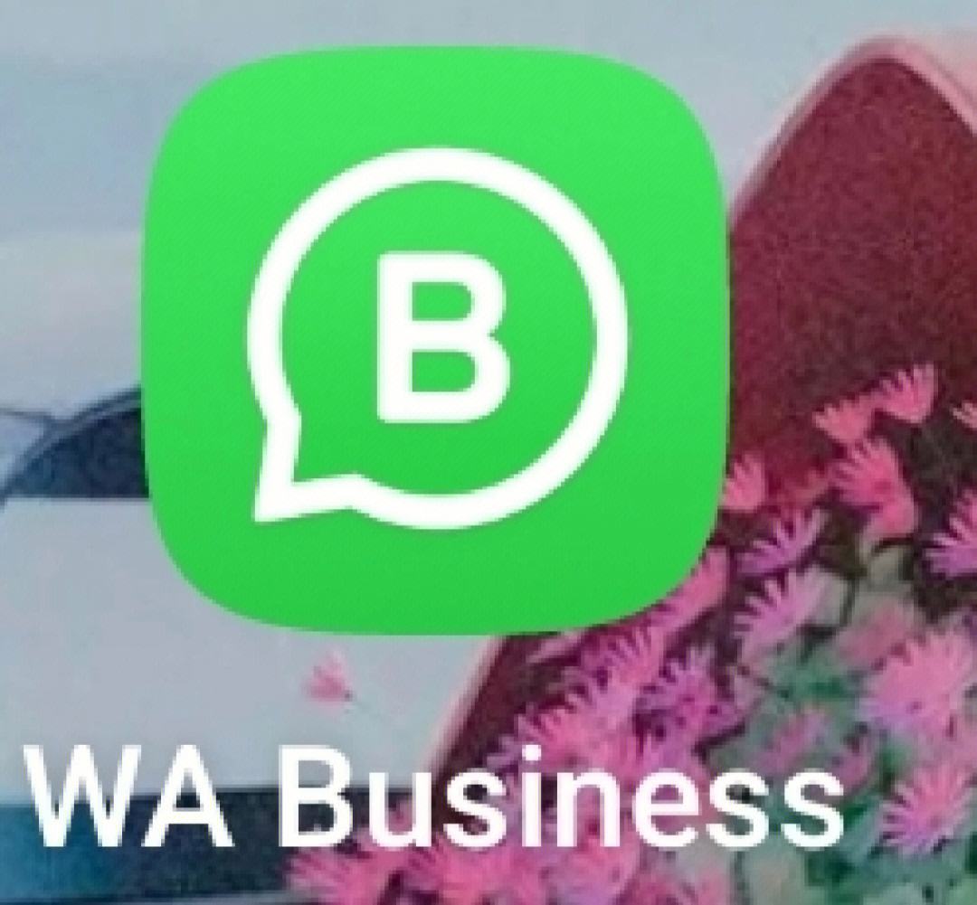 聊天软件whatsapp下载，印尼聊天软件WHATSAPP下载
