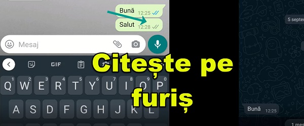 whatsapp消息无法送达，whatsapp我们无法发送sms短信至您的电话号码