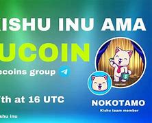 kishu币最新动态，kishu币最新消息网站