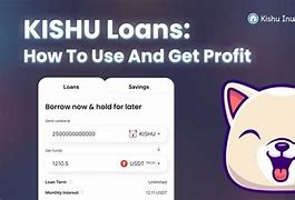 kishu币价格预测，kishu币5年后会涨到多少