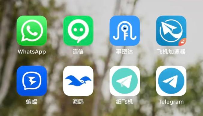蝙蝠聊天软件官方下载，蝙蝠聊天软件官方下载安装包