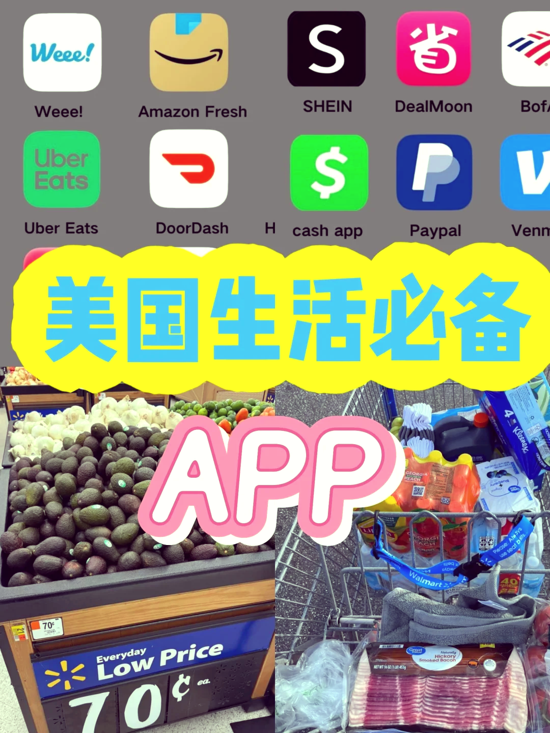 国际交友软件app免费，国际交友软件app免费手语下载