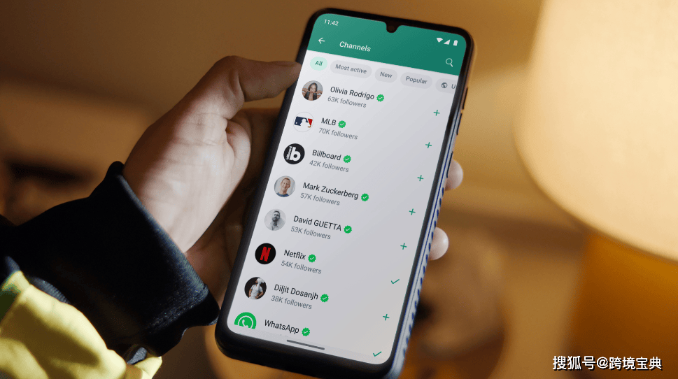 whatsapp网站，whatsapp website
