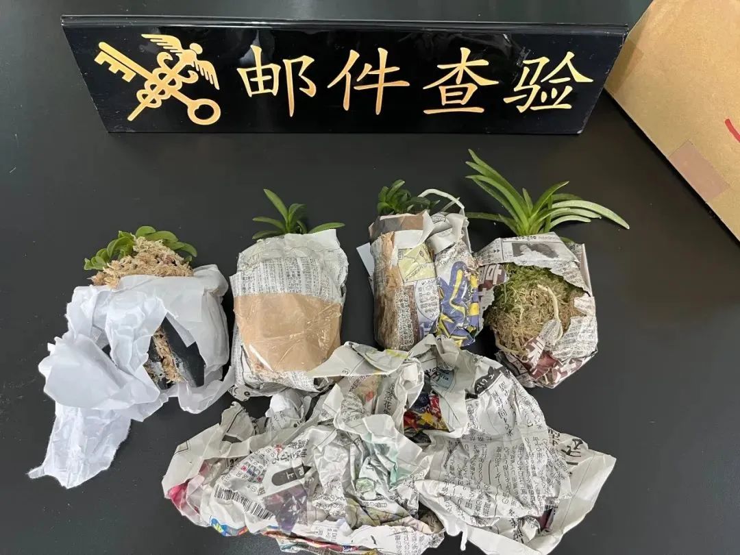 被海关扣的东西还有的还的么?，被海关扣的东西怎么处理原路退回
