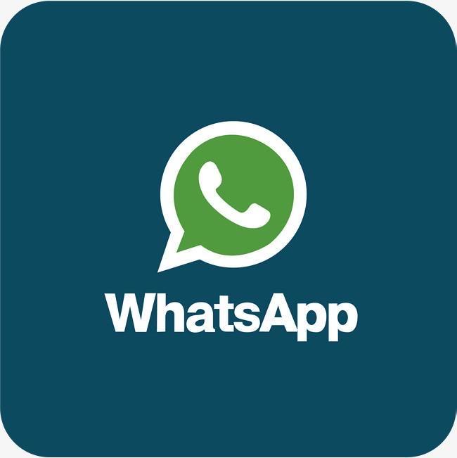 whatsapp电脑端怎么加好友，whatsapp电脑版怎么视频聊天