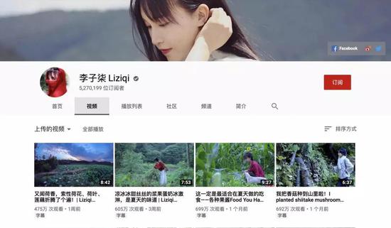 关于梯子软件免费youtube的信息