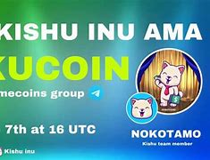 kishu币价格今日行情，kishu币价格今日行情币币