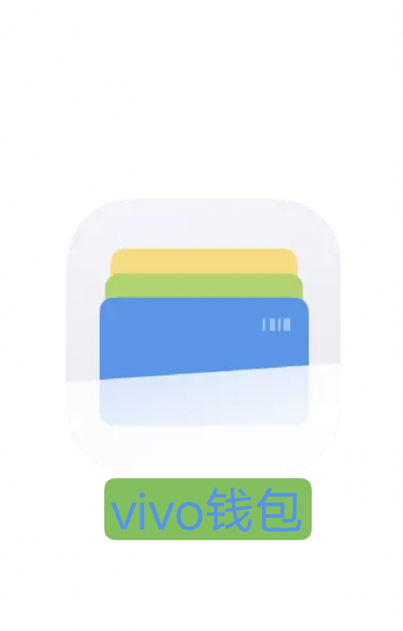 虚拟币钱包什么意思，虚拟币钱包什么意思啊