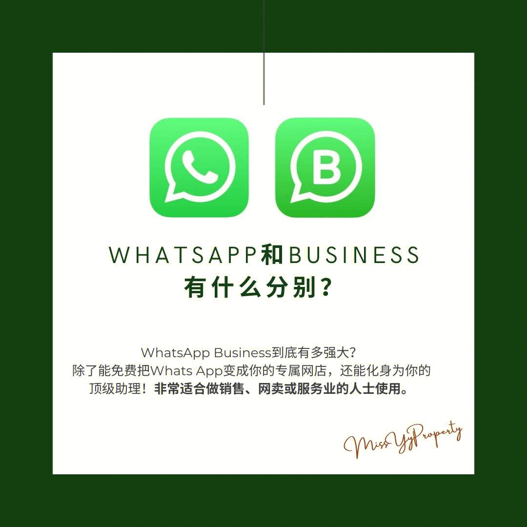 whatsapp图片怎么保存到相册，whatsapp的图片看一下就保存下来了