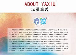 OKPAY是洗钱吗，okpay是什么意思