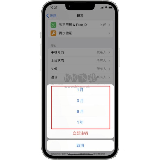 苹果纸飞机软件怎么设置中文，苹果手机的纸飞机怎么设置中文版