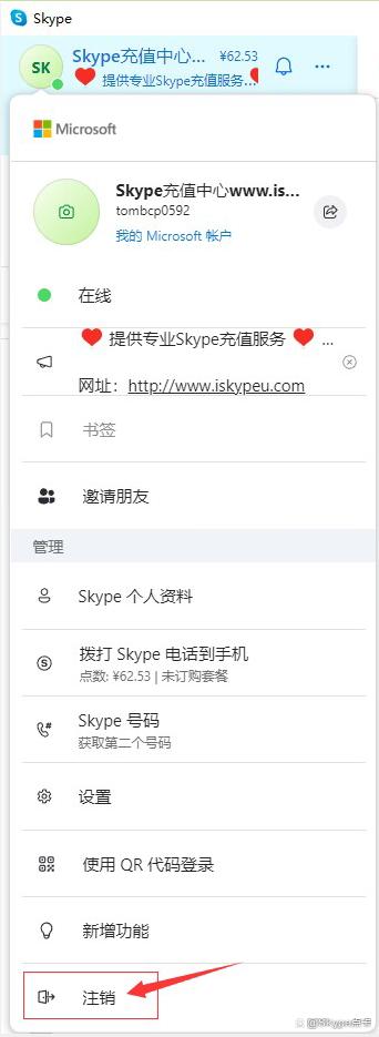 skype是什么意思中文，skype的中文是什么意思
