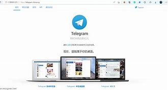 关于电报telegeram官网灰色的信息