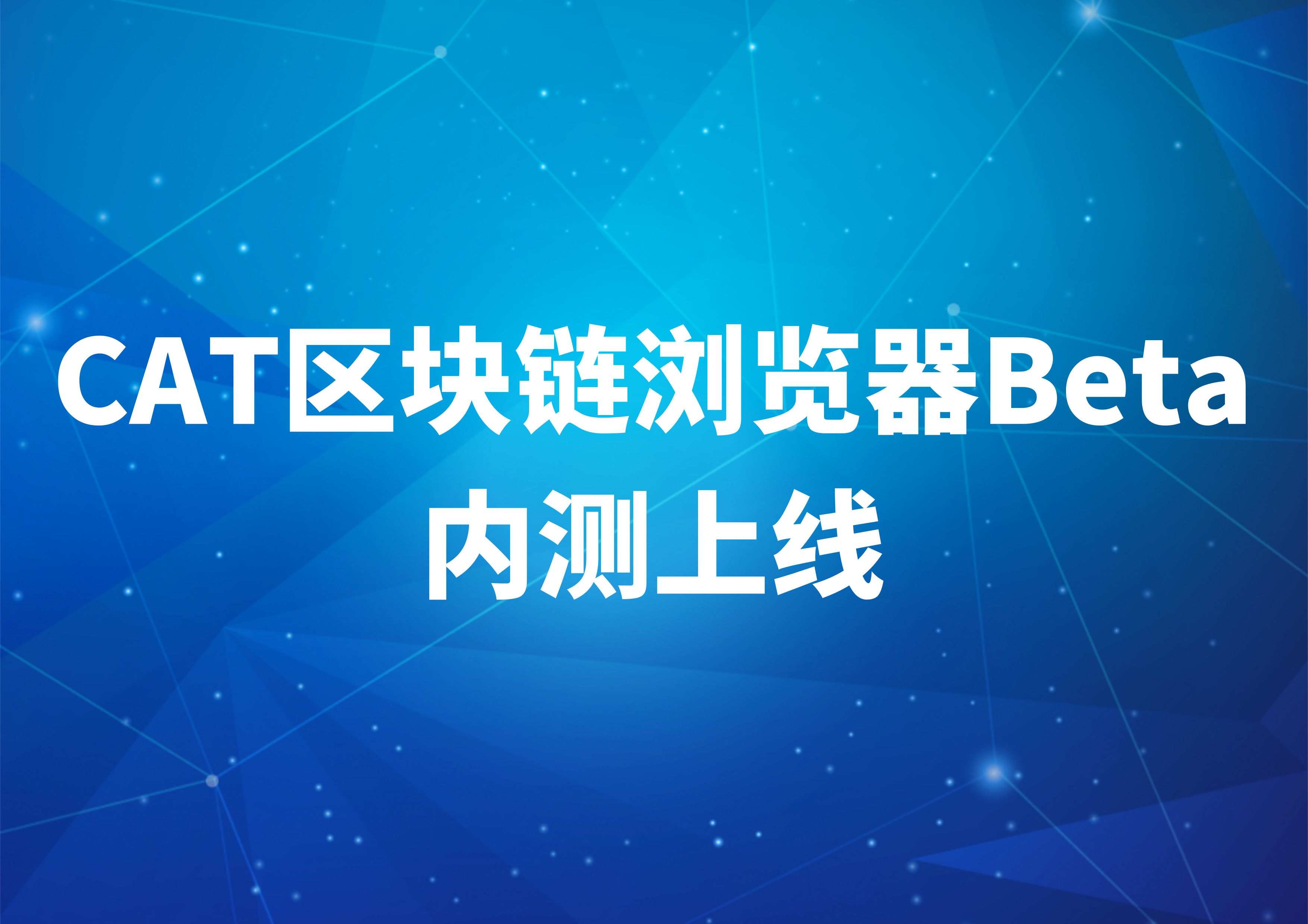 瑞波币区块链浏览器，瑞波币区块链浏览器官网