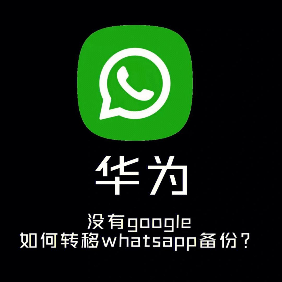 whatsapp中文叫什么中国境内有哪些社交软件可以用的简单介绍
