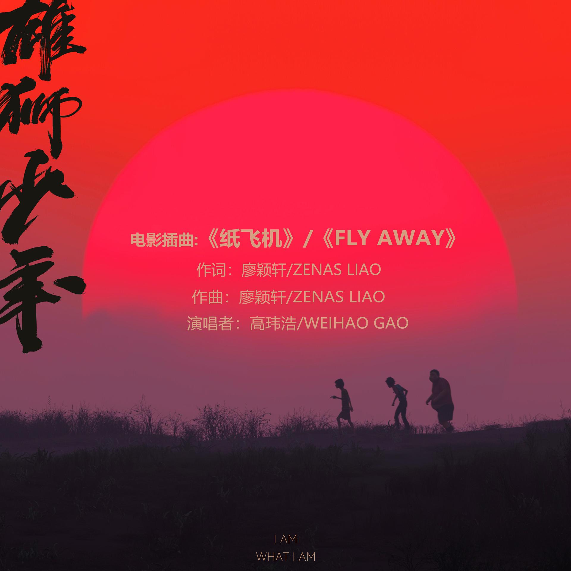 纸飞机电影免费观看，纸飞机电视剧以前的一部电视剧