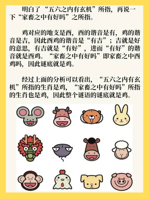 玄机代表数字几，玄机字是什么意思
