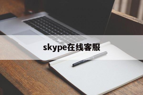 skype在线客服，skypeonline
